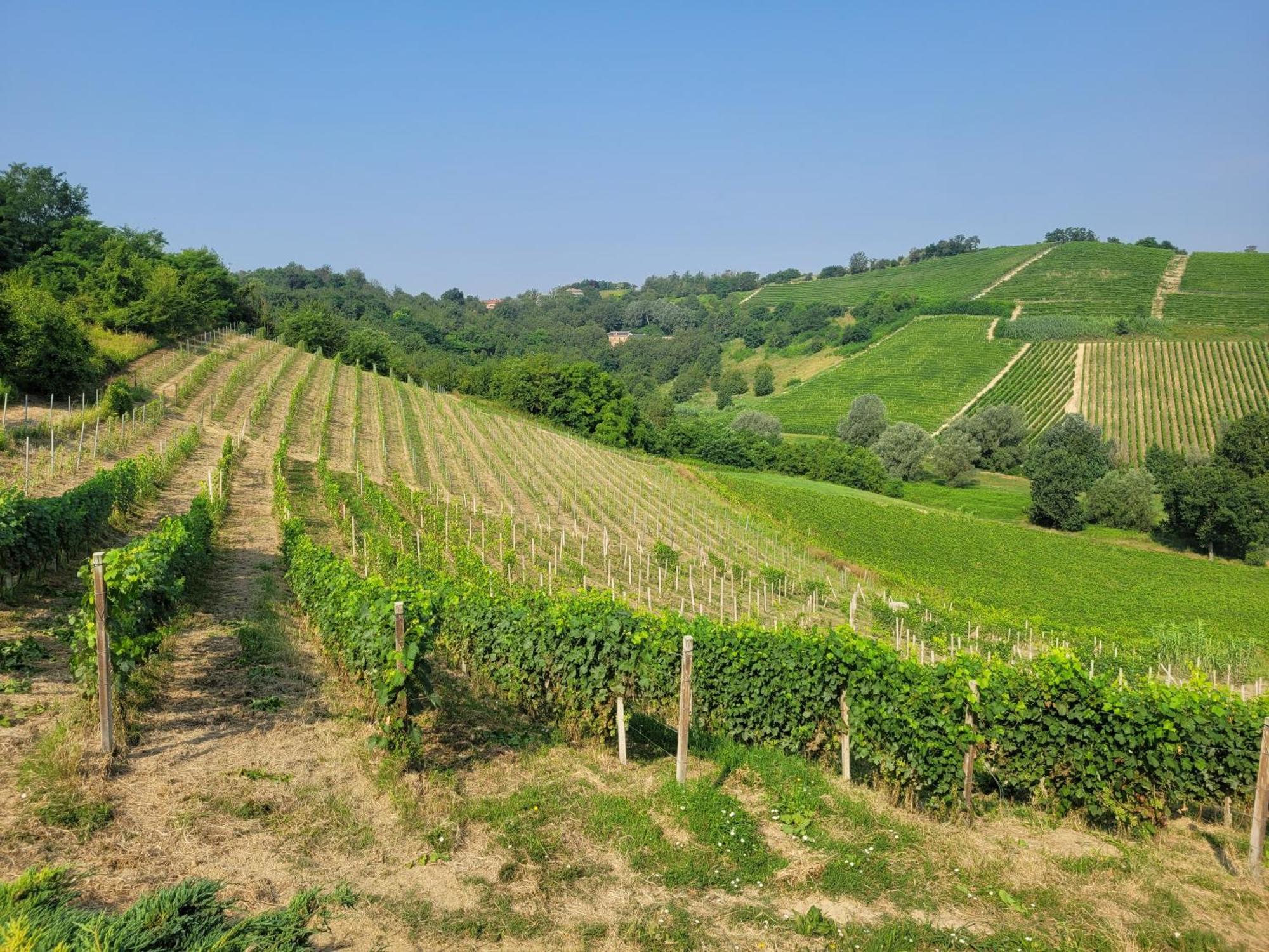 Cascina Allegria Castelnuovo  ภายนอก รูปภาพ
